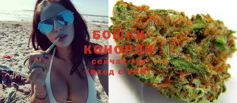 как найти закладки  Карачев  Шишки марихуана LSD WEED 